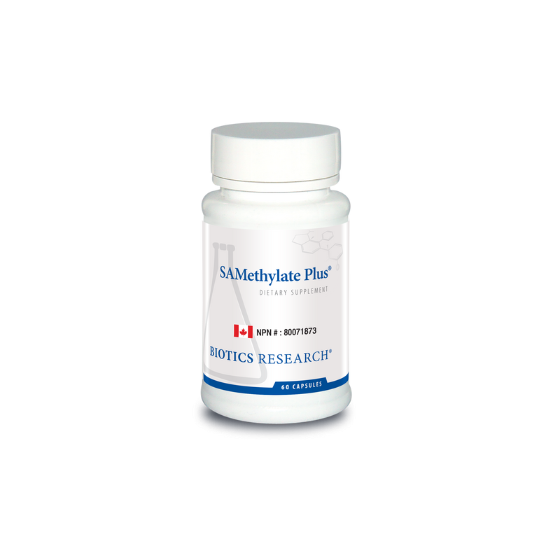 buy our Affordable vitamin SAMethylate Plus for a better health buy our Affordable vitamin SAMethylate Plus for a better health