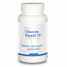 buy our Affordable vitamin Cytozyme-Parotid-TS for a better health