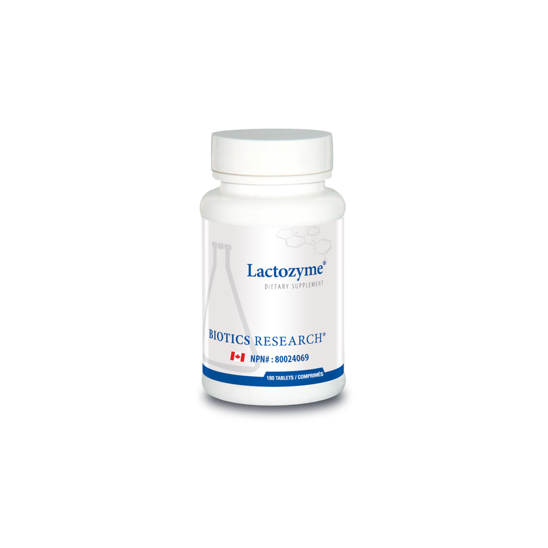 Lactozyme (Probiotic/G.I)