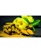 Best products from Inflammation- 